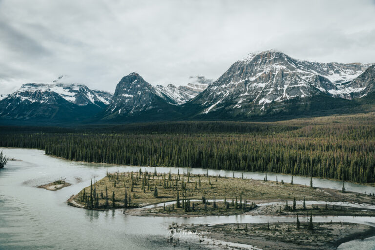 Tal mit Flusslauf entlang des Icefield Parkway mit den Bergen der Rock Mountains im Hintergrund, Alberta, Kanada. River valley along the Icefield Parkway with the mountains of the Rock Mountains in the background, Alberta, Canada.